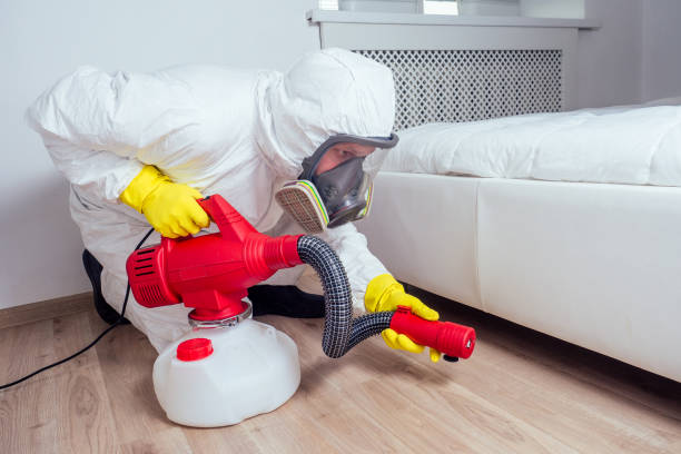 Best Residential Pest Control  in Ray City, GA