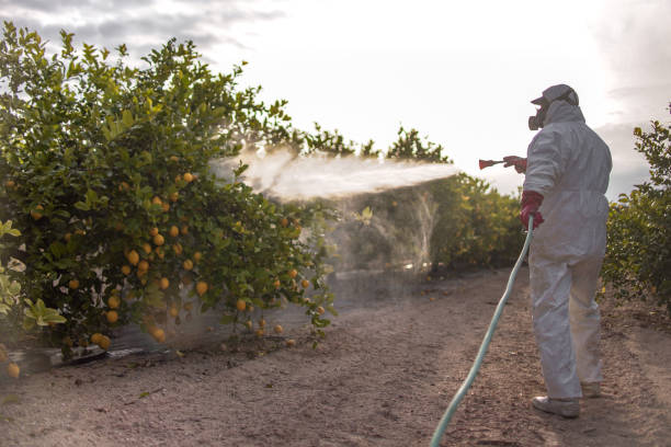 Best Exterminator Services  in Ray City, GA