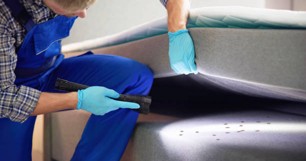 Best Affordable Pest Control Services  in Ray City, GA
