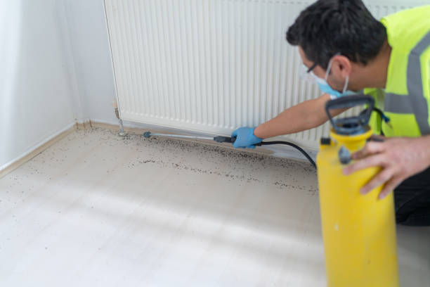 Best Affordable Pest Control Services  in Ray City, GA